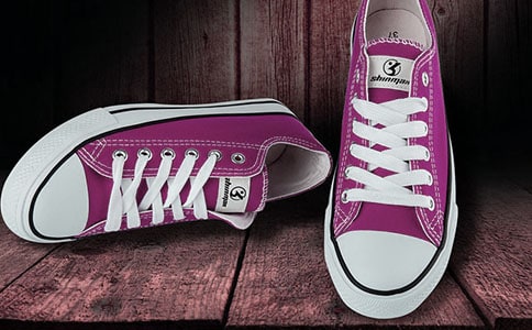 三只鞋子童話作文