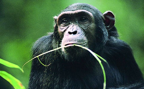 ����ª����С����