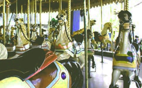 成長(zhǎng)過程中的旋轉(zhuǎn)木馬作文