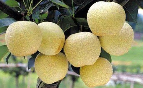 ѩ��©���W(w��ng)֩��