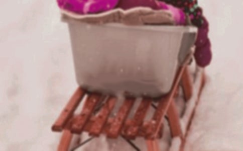 一只貴族狗和一只雪橇犬的故事作文