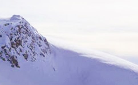 ����ѩɽ��ӛ���ģ�ͨ��38ƪ��