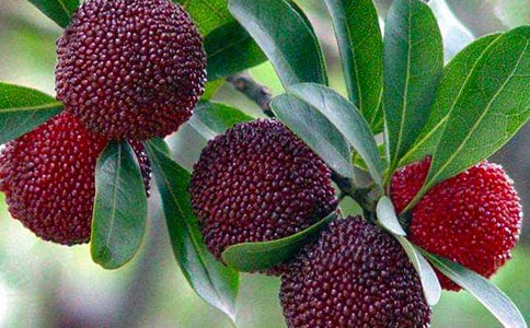 �P(gu��n)�ڗ�÷����15ƪ[���]]