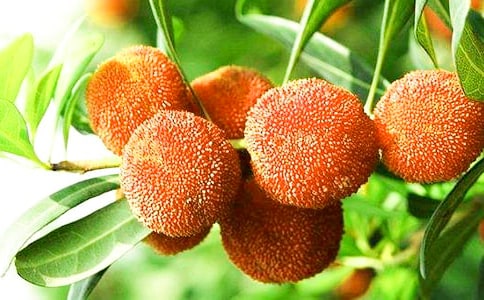 ���l(xi��ng)�ė�÷����