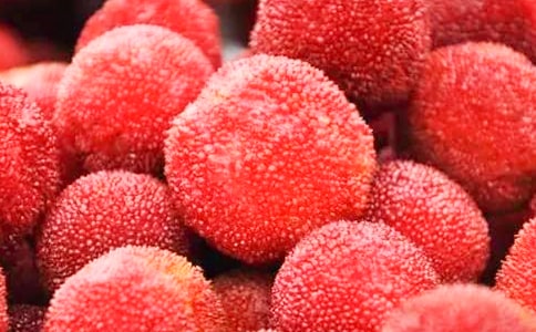 我愛家鄉(xiāng)的楊梅作文7篇