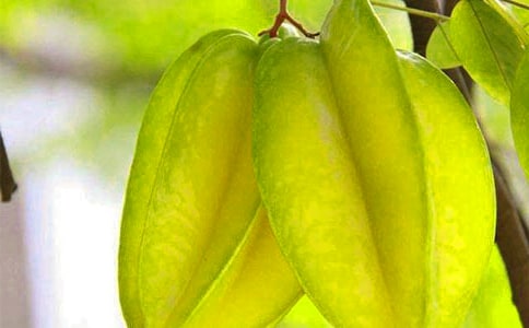 【精選】《畫楊桃》教案