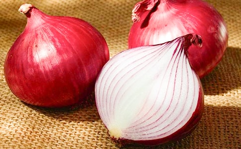 ���[�^����ӛ