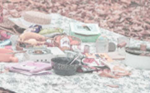 �P(gu��n)��Ұ����ӛ 4ƪ