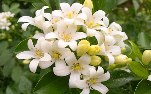 �\�\����ҹ���マ(y��u)������