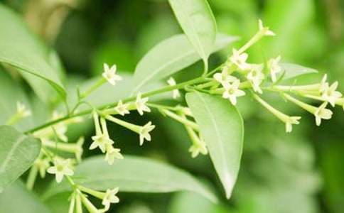 �P(gu��n)�ڽ�Bҹ��(l��i)�������