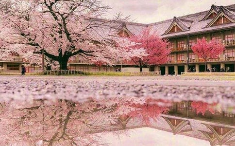 �ѻ��^����ӛ10ƪ