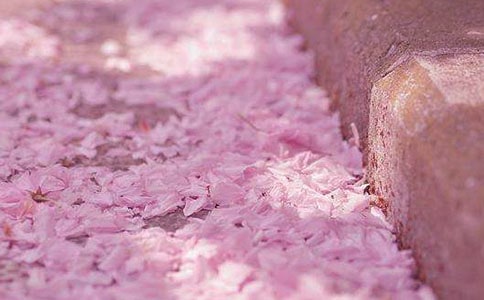 �p�ѻ�����