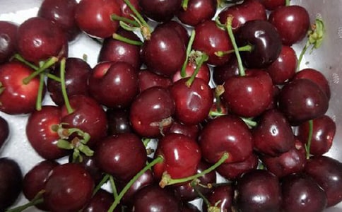 ժ������ӛ350��-���Ѽҵļt����