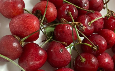 櫻桃小丸子中經(jīng)典語錄