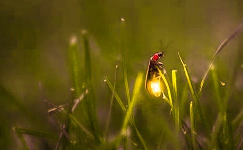 Ξ���x��������            -���i-��һ������