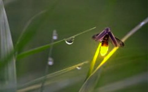 �ǿ��µ�Ξ���x800������ - ���Д�������