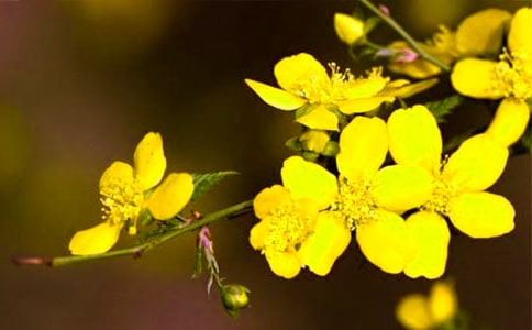 ӭ�����^����ӛ��ƪ