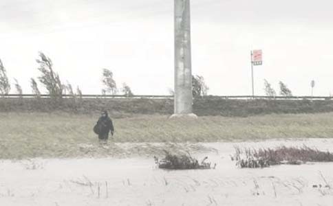 �����(l��)�@����