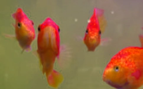 �~���~�N�\ݔ���gҪ��