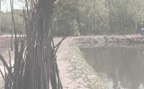 �~����ϼ��������