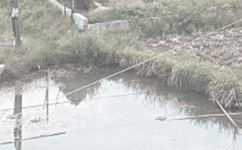 農(nóng)村魚塘承包合同范本