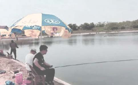 �~�����(zh��n)����800��