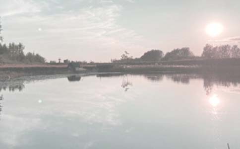 �r(n��ng)���~���B(y��ng)ֳ���а���ͬ����