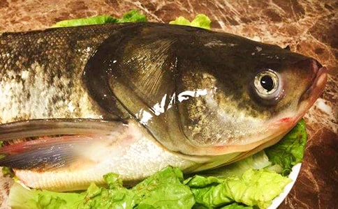 �����۳��~�^����