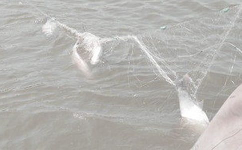 �y���ĝO�W������������