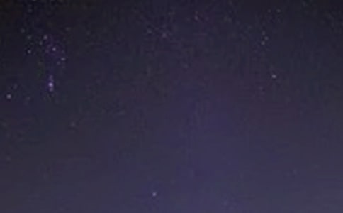 �����P(gu��n)������W�ص��x��У����x13ƪ��