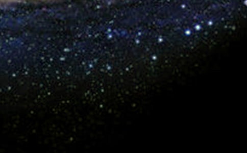 �����е������x�������