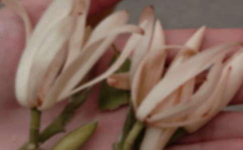 �P(gu��n)���茑���m��������ͨ��