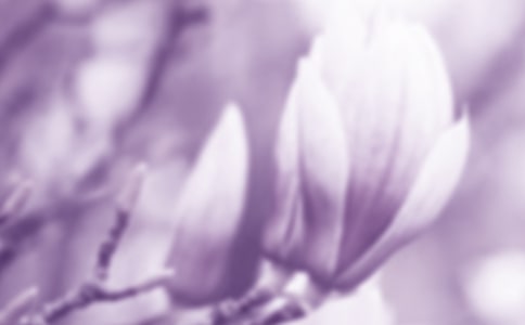 ���m�������������