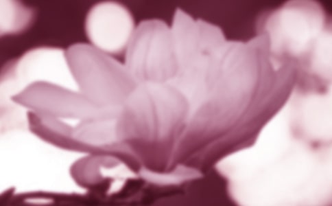 ���m��������