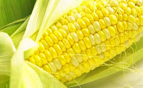 �茑�������׵����ģ�ͨ��20ƪ��