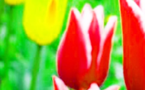 �^����������ӛ��ͨ��10ƪ��