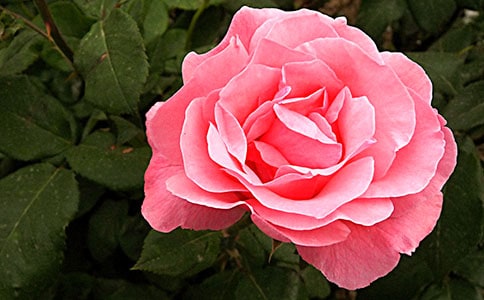 �¼��@����