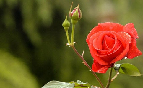 �P(gu��n)���¼�����