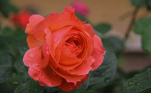 �¼�����ӛ9ƪ