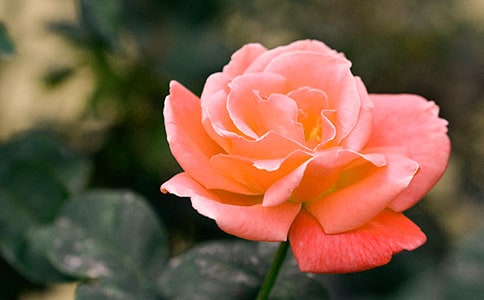 �¼����^����ӛ