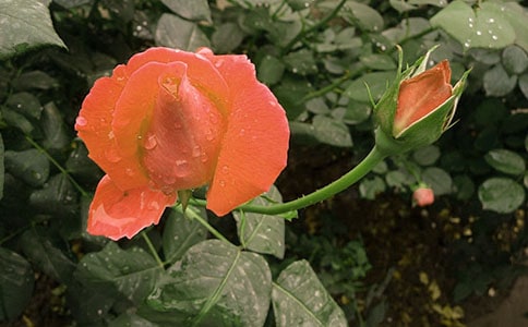 �¼����^����ӛ��ͨ��10ƪ��