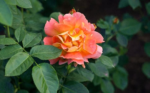 ���¼���������200��