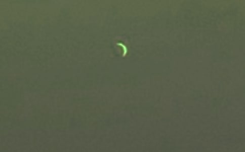 ���P(gu��n)�����е��������ąR����ƪ