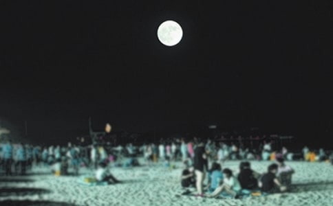 �A֦���M,�����Aɢ��