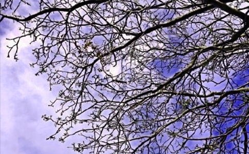 簡潔的溫馨的早安問候語短信集錦43條