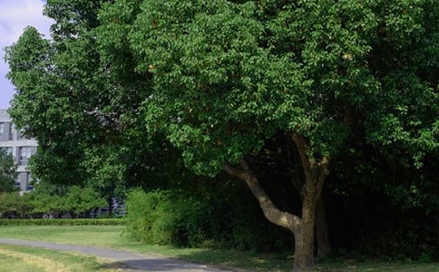 2024�꺆(ji��n)��������ϵ�簲�����Zժ�41�l