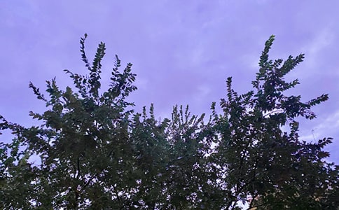 2021�ꌍ(sh��)�õ��m�Ͻo���ѵ��簲��(w��n)���Z(y��)����ժ�37��