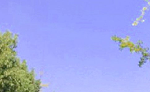 【熱門】2024年祝好心情的早安微信問候語合集60條