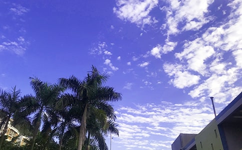 溫馨早安問候語大全