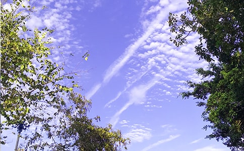 ���؂䡿�m�Ͻo���ѵ��簲����Ȧ��(w��n)���Z(y��)38�l